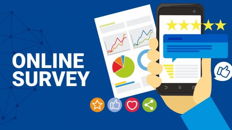 online Survey.
